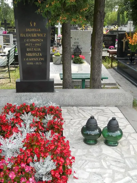 Zdjęcie grobu B/25085
