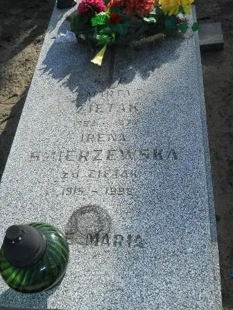 Zdjęcie grobu 100/100