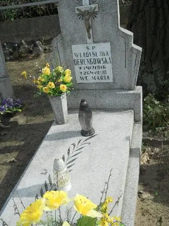 Zdjęcie grobu 9/15