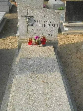 Zdjęcie grobu 37/100