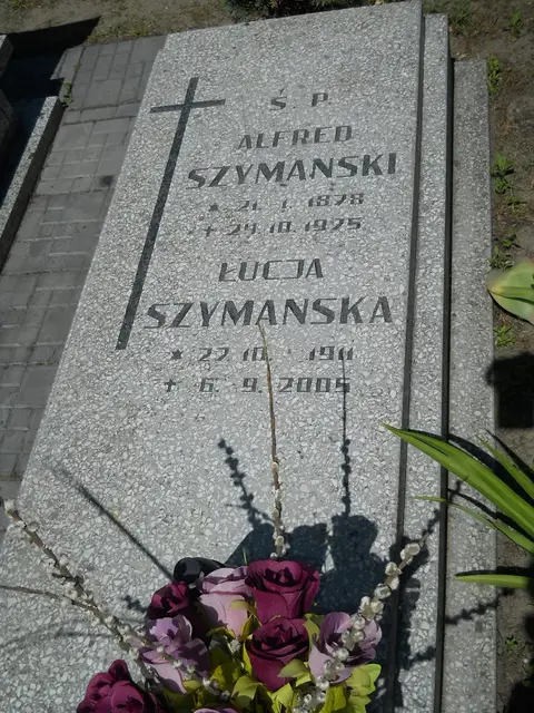 Zdjęcie grobu 8A/10183