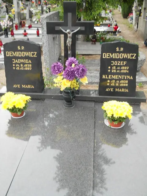 Zdjęcie grobu 7/11224