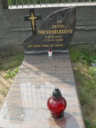 Zdjęcie grobu 100/184żb