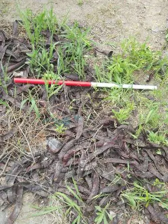 Zdjęcie grobu 43/100