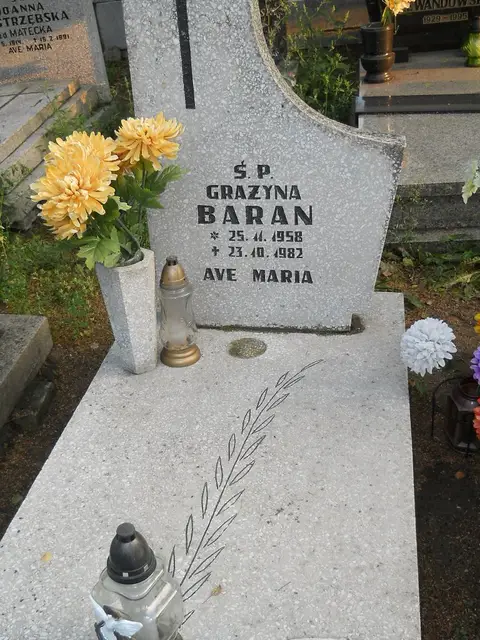 Zdjęcie grobu D/25866