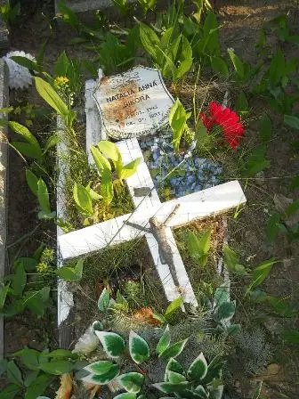 Zdjęcie grobu 7c/61