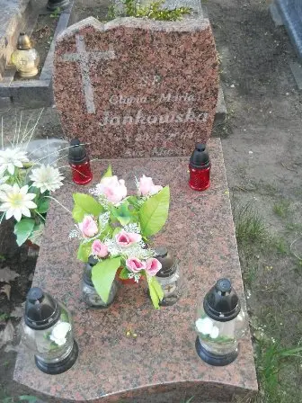Zdjęcie grobu 7b/100