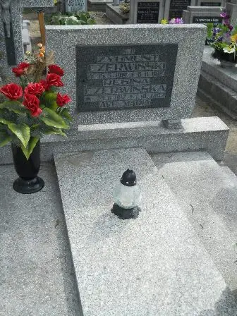 Zdjęcie grobu 27/238,238a