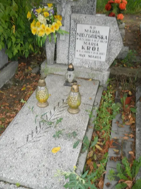 Zdjęcie grobu 24/23427