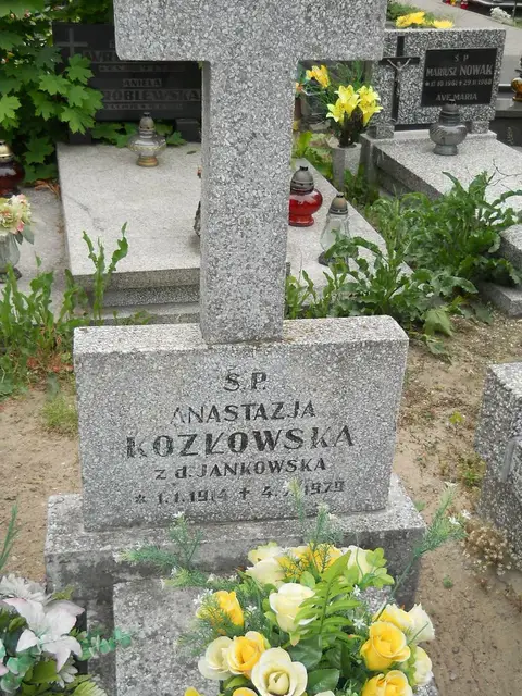 Zdjęcie grobu 7/11067