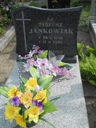 Zdjęcie grobu 22/48a