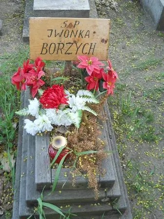 Zdjęcie grobu 7b/100
