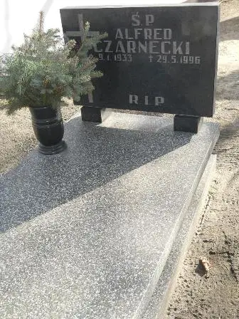 Zdjęcie grobu 6/161a