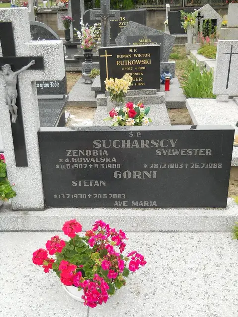 Zdjęcie grobu 5/22405
