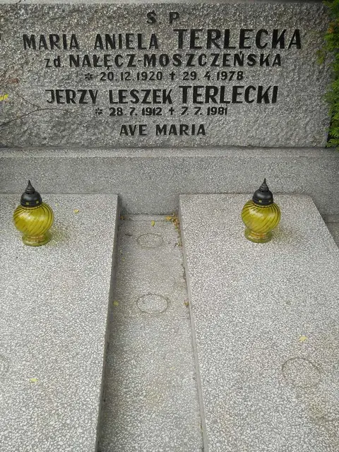 Zdjęcie grobu 7/10831