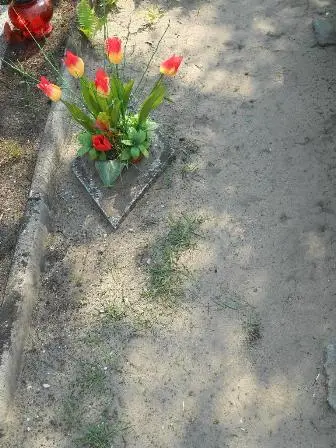 Zdjęcie grobu 29/100