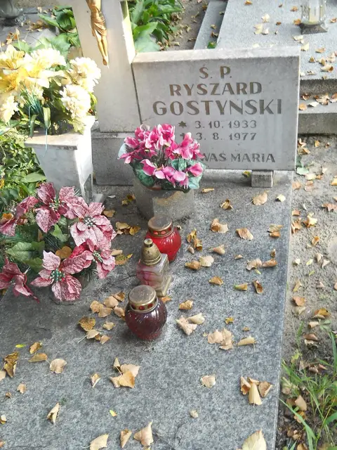 Zdjęcie grobu 15/26792
