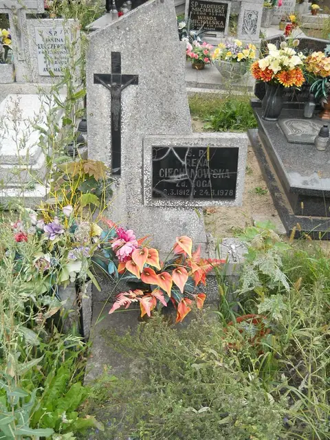 Zdjęcie grobu A/24725