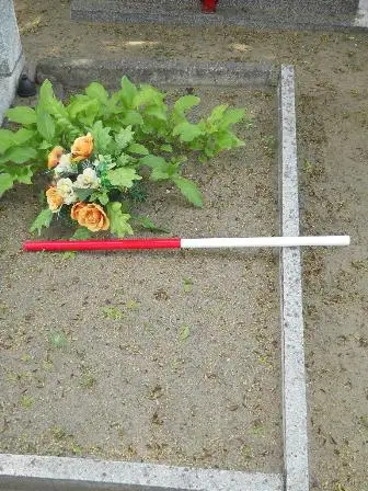 Zdjęcie grobu 26/100