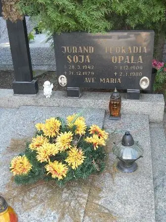 Zdjęcie grobu 35/286.287