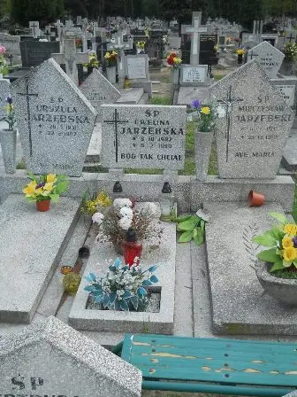 Zdjęcie grobu 44/162,163,163a