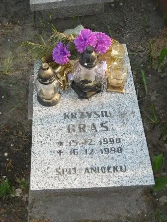Zdjęcie grobu 7c/44