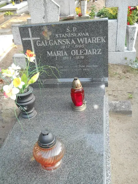 Zdjęcie grobu 14/27894