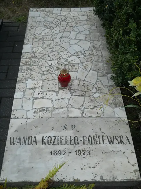 Zdjęcie grobu 11/29195