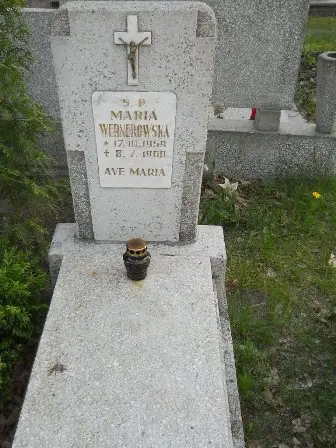 Zdjęcie grobu 7b/100