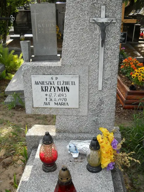 Zdjęcie grobu 8/10578