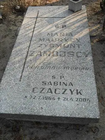 Zdjęcie grobu 2/100