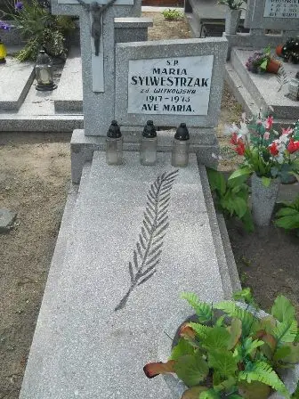 Zdjęcie grobu 40/105