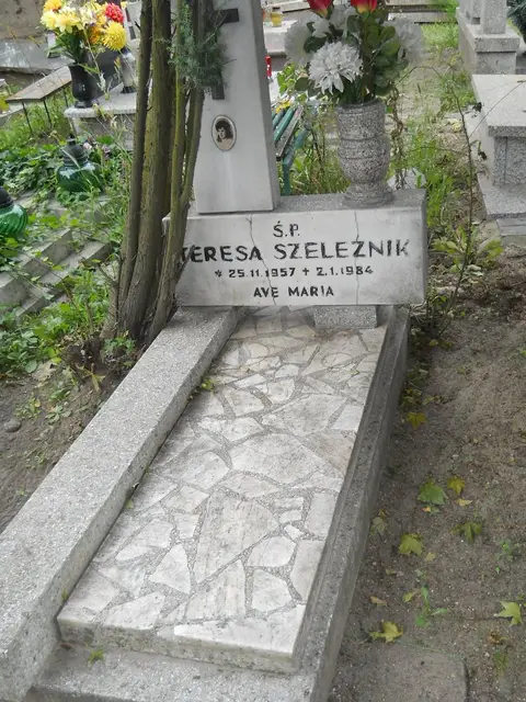 Zdjęcie grobu A/24690
