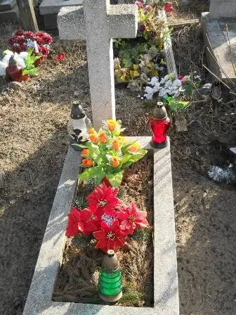 Zdjęcie grobu 100/100