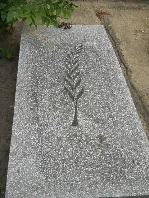 Zdjęcie grobu 23/28719