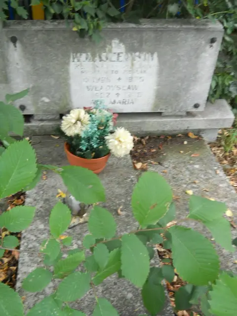 Zdjęcie grobu 16/25941