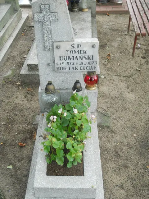 Zdjęcie grobu 13/29646