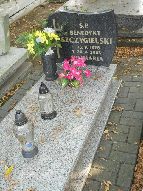 Zdjęcie grobu 15/26543