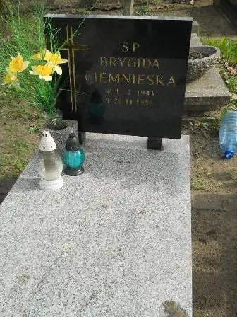 Zdjęcie grobu 9/107
