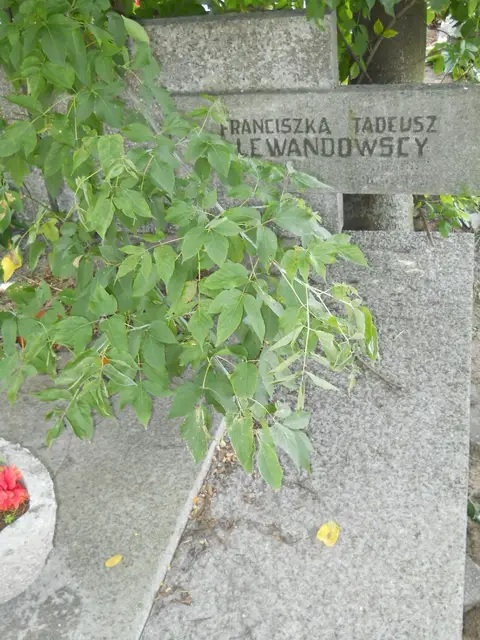 Zdjęcie grobu 6/24230