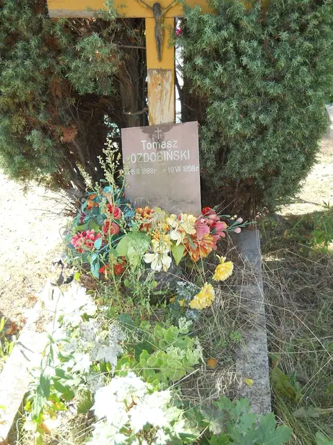 Zdjęcie grobu 17/28116