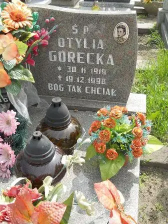 Zdjęcie grobu 25/105a