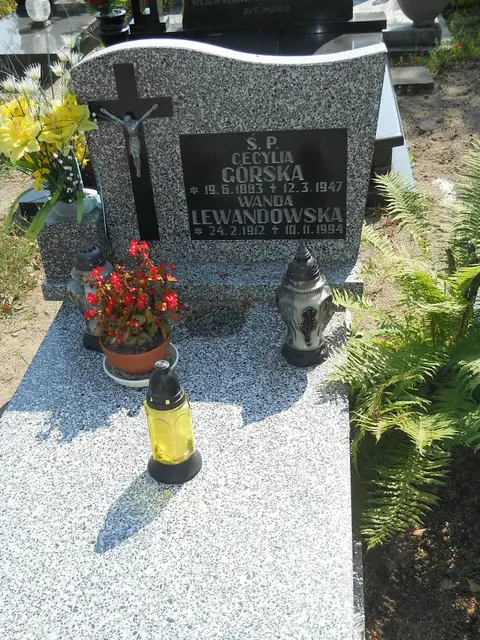 Zdjęcie grobu 14/27576