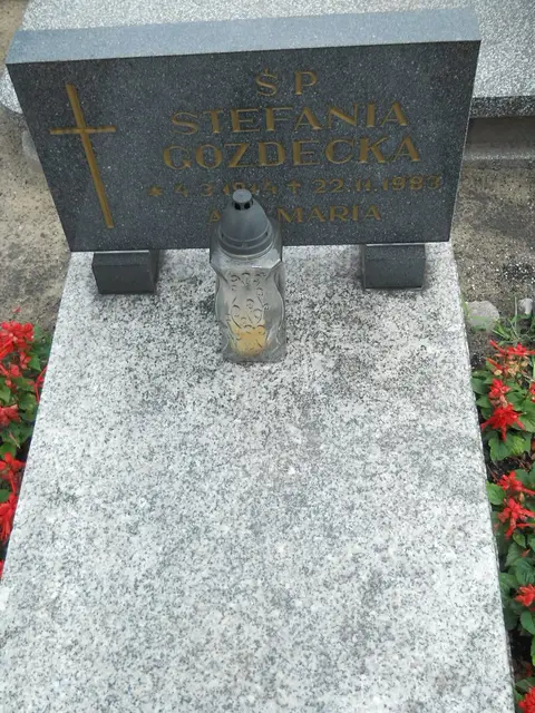 Zdjęcie grobu 24/23714