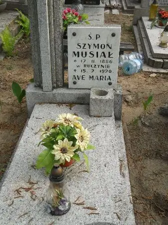 Zdjęcie grobu 33/100