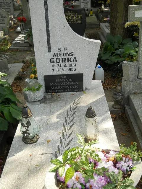 Zdjęcie grobu 19/28559