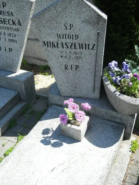 Zdjęcie grobu 8/10034