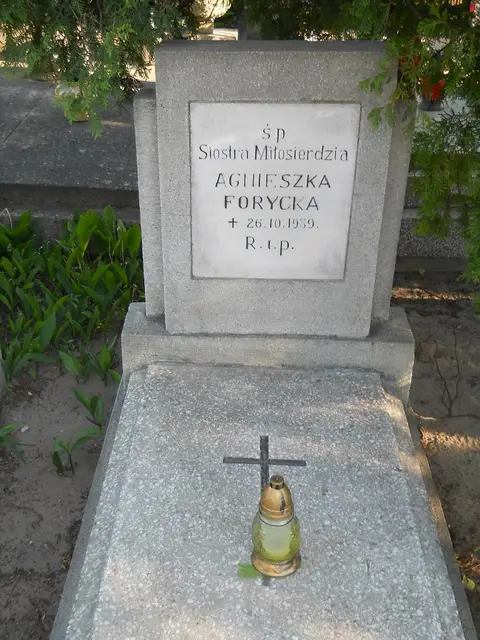 Zdjęcie grobu C/12107