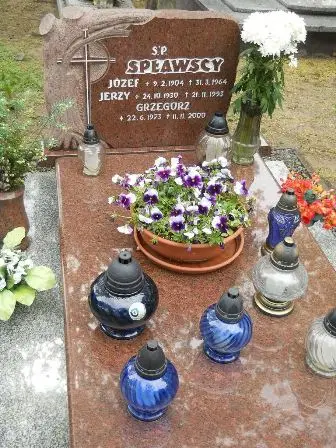 Zdjęcie grobu 32/147a