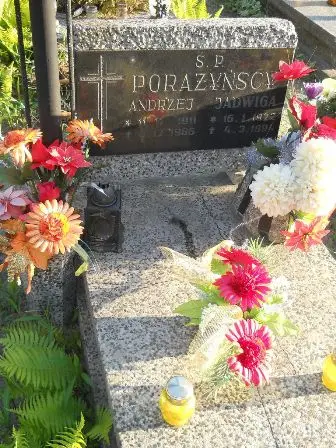 Zdjęcie grobu 45/8a
